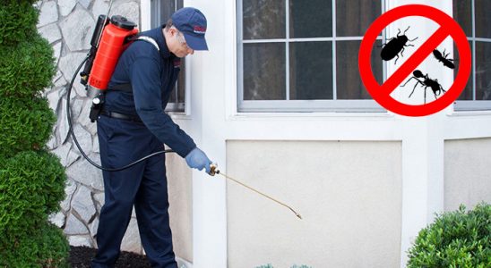 Niksar Kemirgen İlaçlama böcek ilaçlama ve haşere kontrolü — ilaclama-tr.com